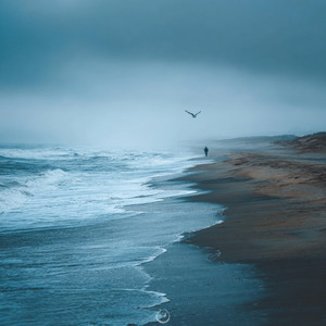 Missing