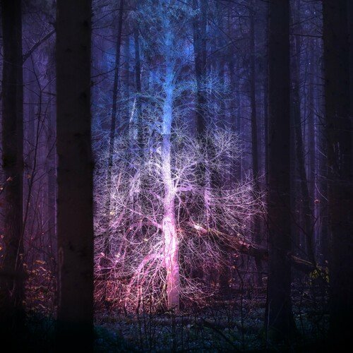 Eternal Frequencies