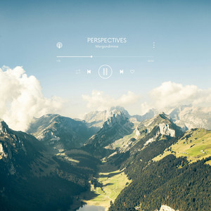 Perspectives