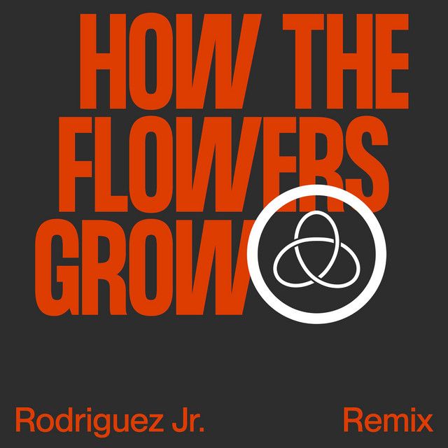 How The Flowers Grow - Rodriguez Jr. Remix