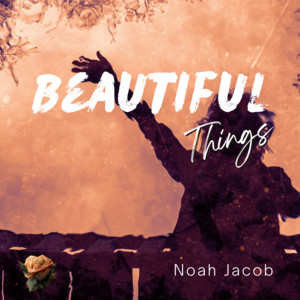 Beautiful Things