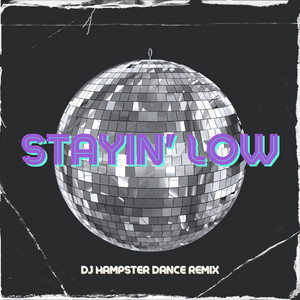Stayin' low (DJ Hampster Dance Remix)