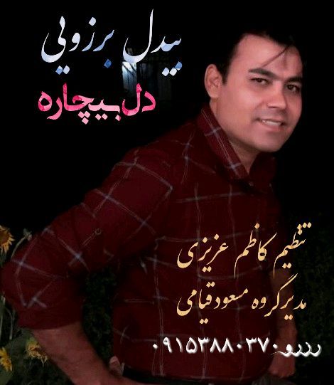 دل بیچاره