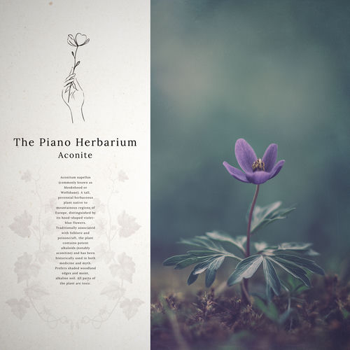 Aconite