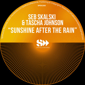 Sunshine After The Rain 2025 Mixes - 2025 Radio Mix