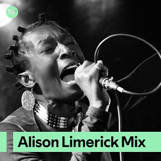 Alison Limerick Mix