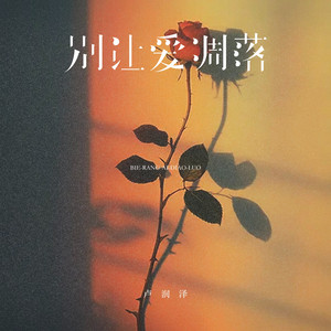 别让爱凋落 - DJLHN版