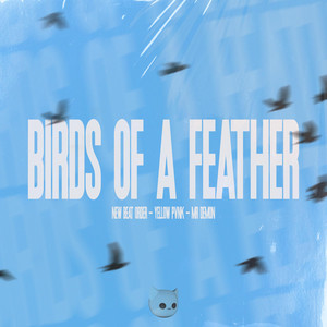 BIRDS OF A FEATHER - Techno Mix
