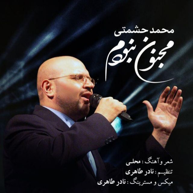 مجنون نبودم