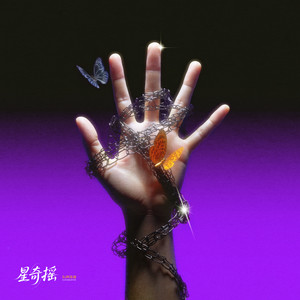 星奇摇 - DJ阿玄版