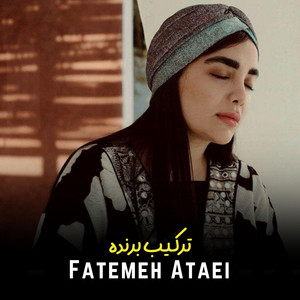 ترکیب برنده
