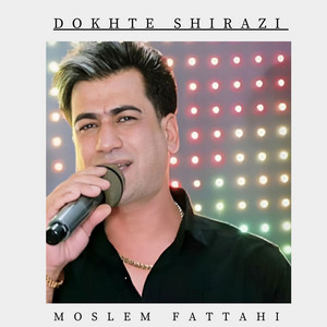 Dokhte Shirazi