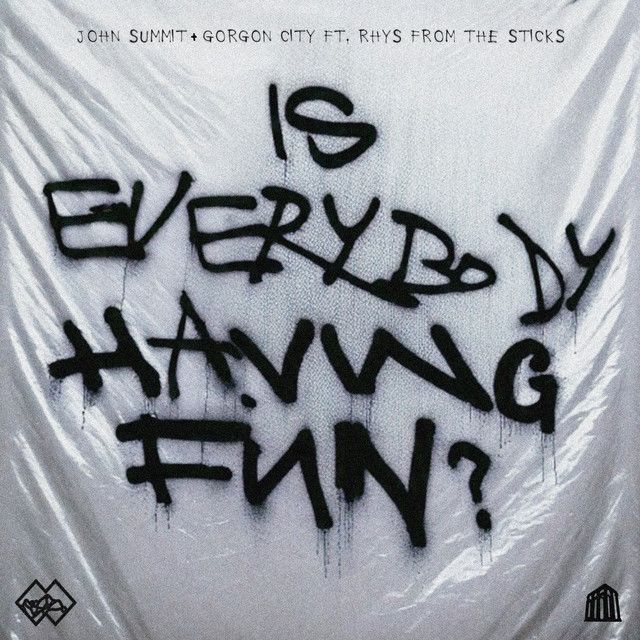 Is Everybody Having Fun? (feat. rhys from the sticks)