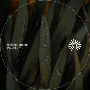 Quality Rain