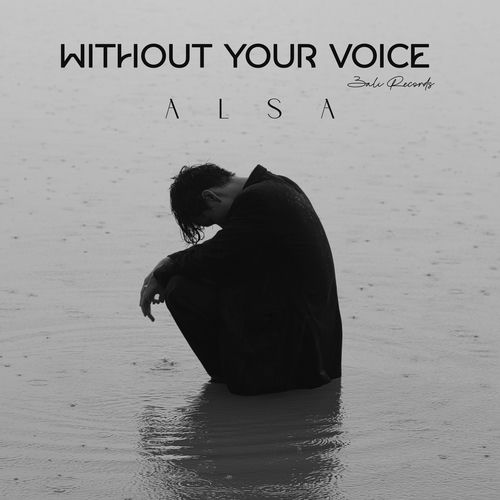 Without Your Voice