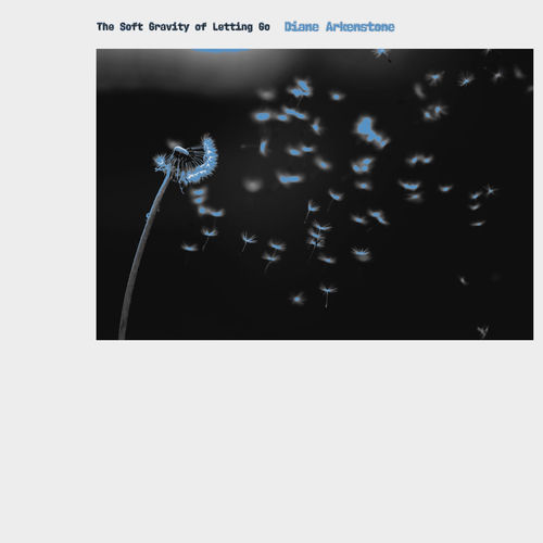 The Soft Gravity of Letting Go
