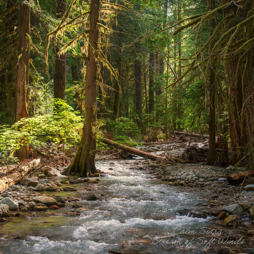 Stream of Soft Winds