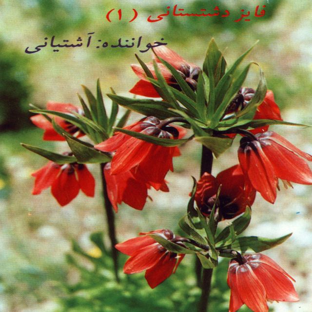 فایز خوانی 1