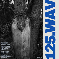 125.Wav