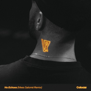 No Echoes - Mees Salomé Remix