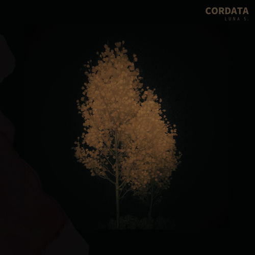 Cordata