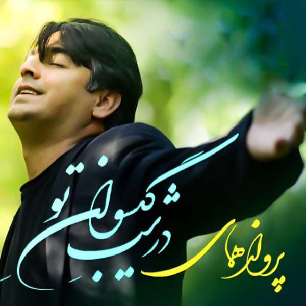 در شب گیسوان تو