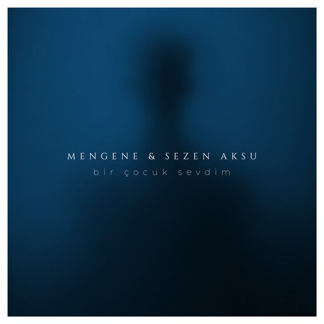 Bir Çocuk Sevdim