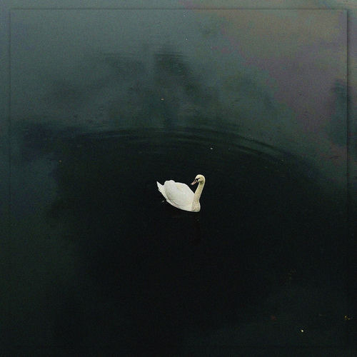 Downfall