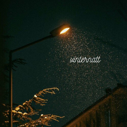 Vinternatt