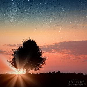Crepuscular rays