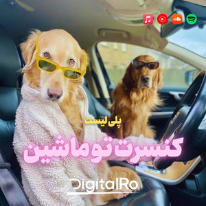 کنسرت تو ماشین