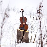 34 Valses sentimentales, D. 779: No. 1 in C Major