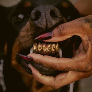 MUTT (feat. Chris Brown) [CB REMIX]