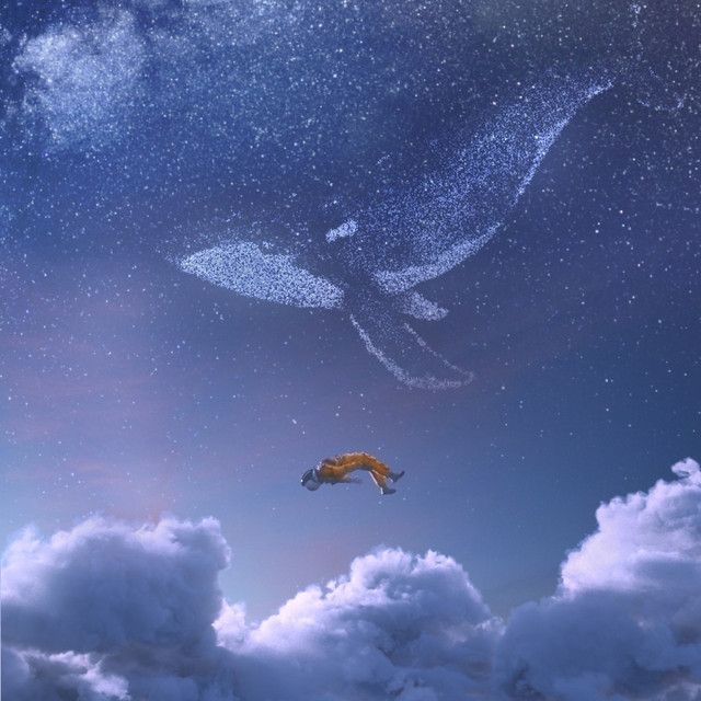Whale (youwindy Remix)