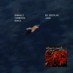 Shmaali شمالي Tarweeda - Nicolas Jaar Remix