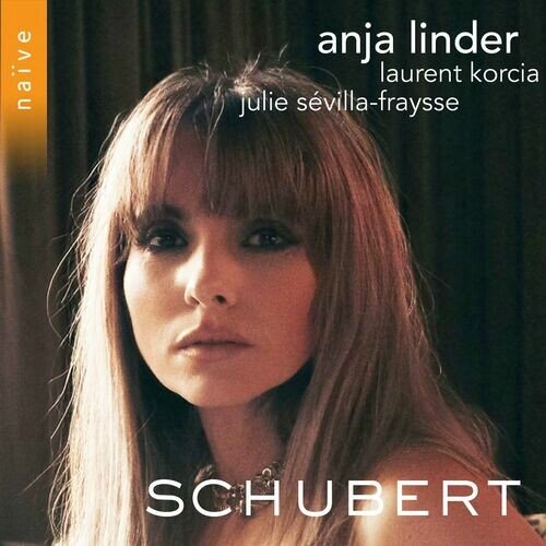 Piano Trio No. 2 in E-Flat Major, D. 929: II. Andante con moto (Arr. for Harp, Violin and Cello by Anja Linder)