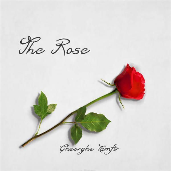 The Rose