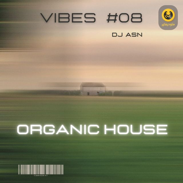 Vibes EP08