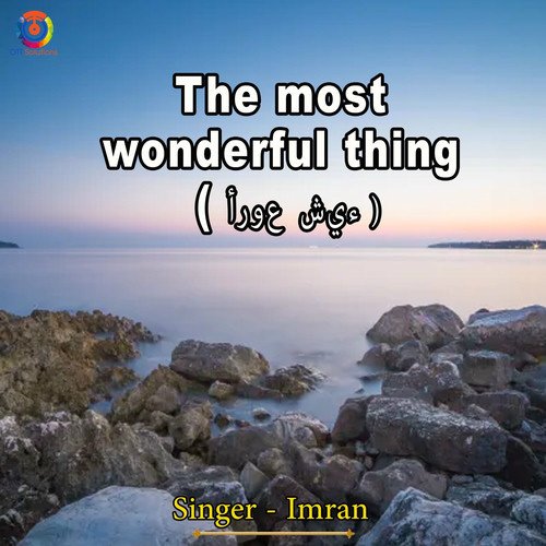 The Most Wonderful Thing