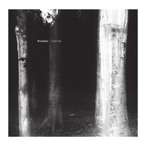 To Speak Of Solitude