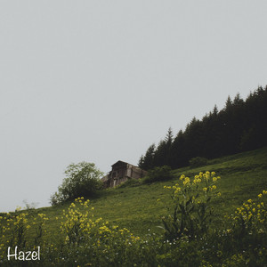 Hazel