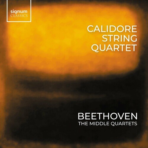 String Quartet No. 11, Op. 95 'Serioso': I. Allegro con brio