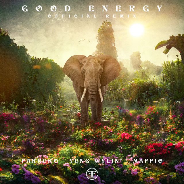 Good Energy - Remix
