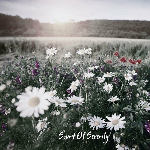 Sounds Of Serenity