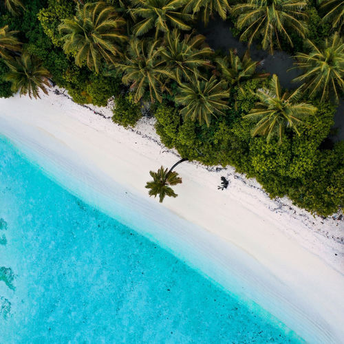 White Sands