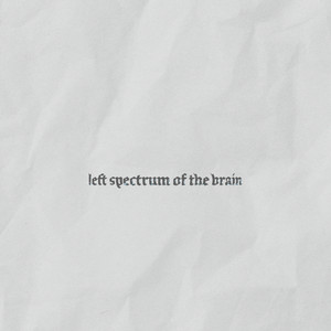 Cerebral Hemispheres