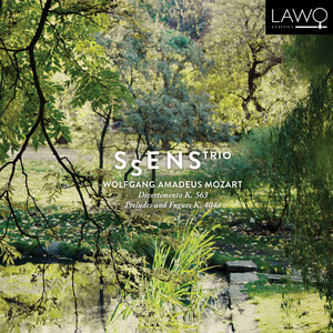 Divertimento in E-Flat Major, K. 563: II. Adagio
