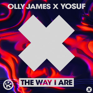 The Way I Are - Remix