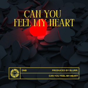 Can You Feel My Heart - DnB
