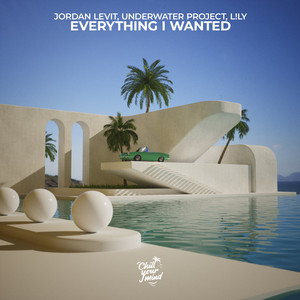 Everything I Wanted